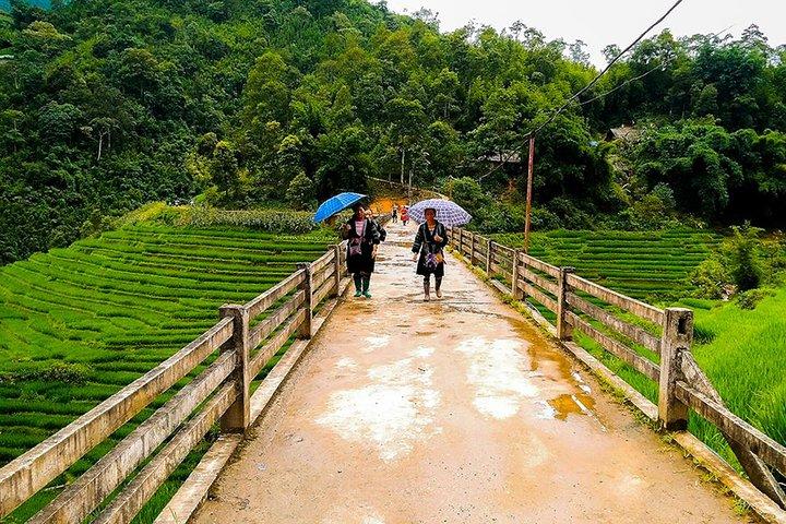 Muong Hoa Valley Trek & Homestay Experience - 4D3N