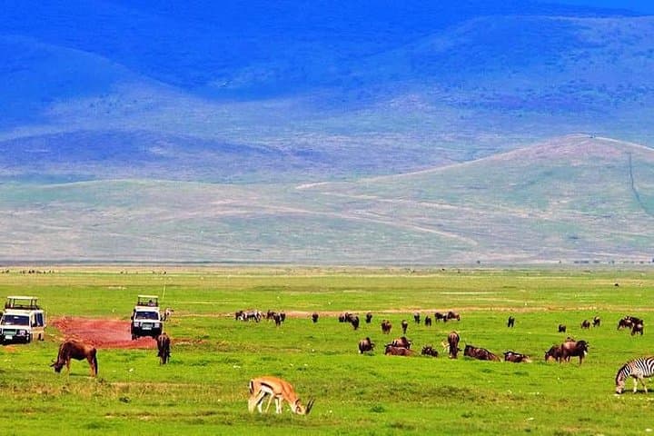 3 Days Camping Wildlife Safari in Kenya
