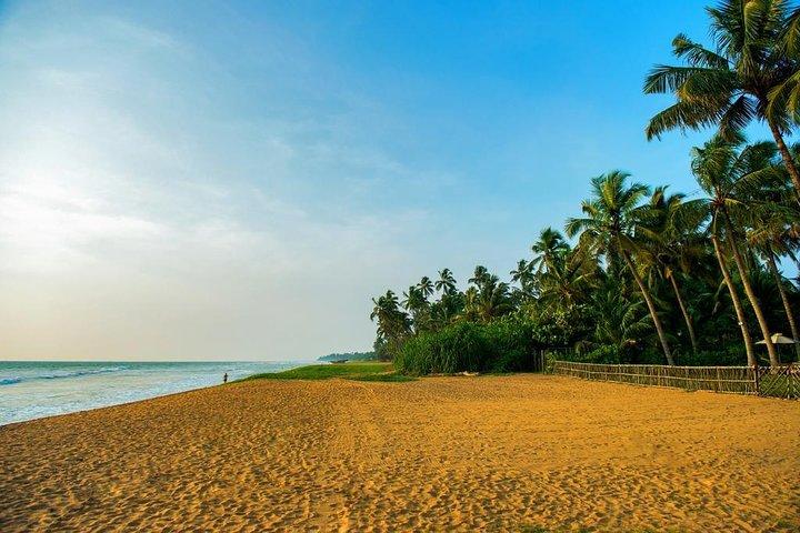 Airport (CMB) to Wadduwa Hotels Transfers (Arrival)