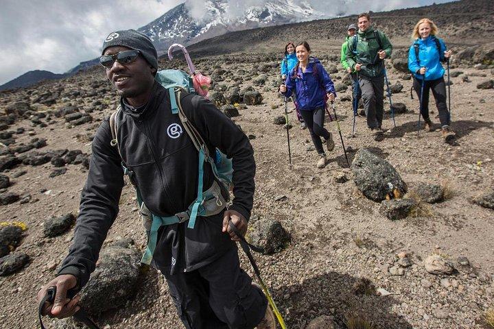 10 Days Mount Kilimanjaro Hike- Lemosho Route