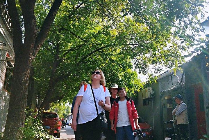 Beijing Hutong Private 4-Hour Walking Tour w/ Drum & Bell Tower