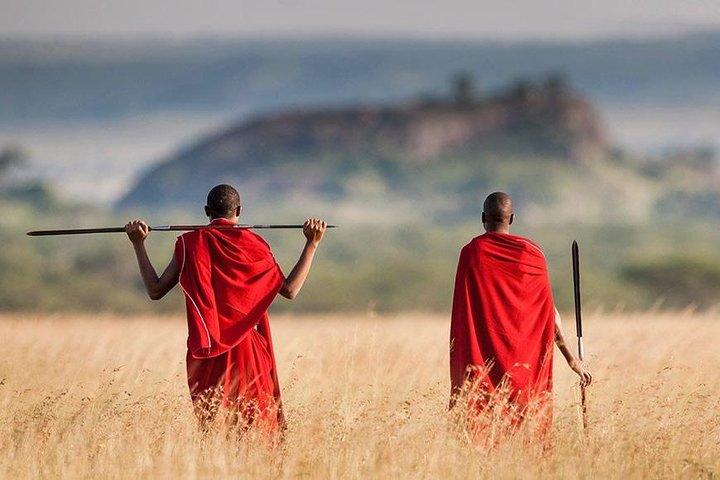 11-days Best Of Kenya And Tanzania Budget Safari