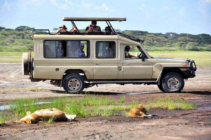 6 Days Mount Kenya, Aberdare, Lake Bogoria, Baringo, Lake Nakuru, Masai Mara