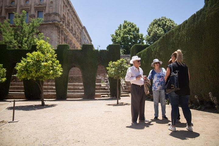 Alhambra Private Tour & Nazaries Palaces from Seville with Pickup