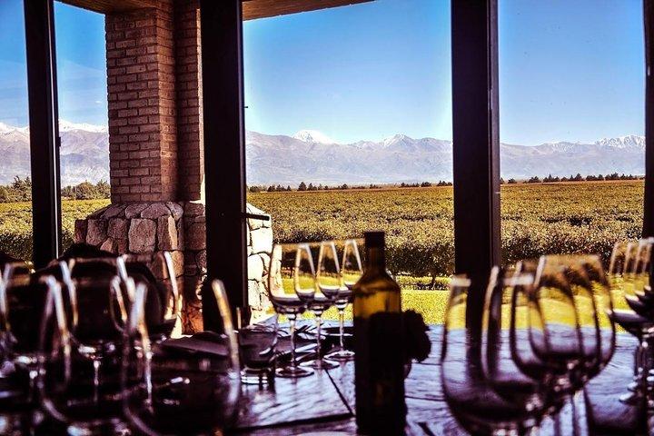 Small Group tour 3 wineries in Luján de Cuyo or Maipú with lunch