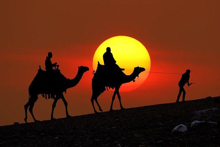 Sunset Camel Ride In Desert From Marrakech
