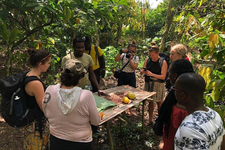 Ghana Eastern Explorer - Boti Falls, Aburi Gardens & Tetther Quarshie Cocoa Farm