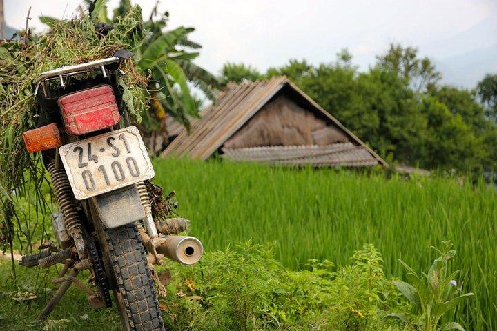 Sapa Motorbike Tour 1 Day| See All Of Rice Fields & Valleys in One Day