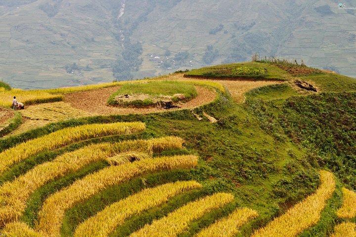Sapa Motorbike Tour 1 Day| See All Of Rice Fields & Valleys in One Day