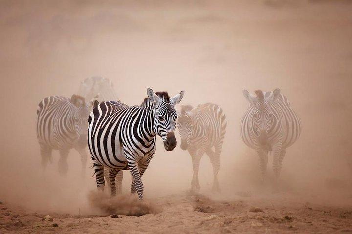4 Days Interactive Safari in Kenya