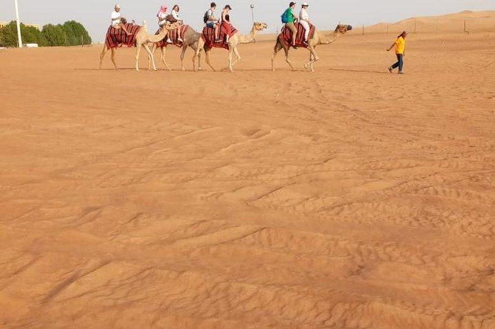 Morning Desert Safari with Sand Boarding and Dune bashing