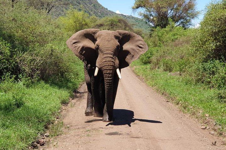 4 Days Tarangire / Serengeti / Ngorongoro & Manyara