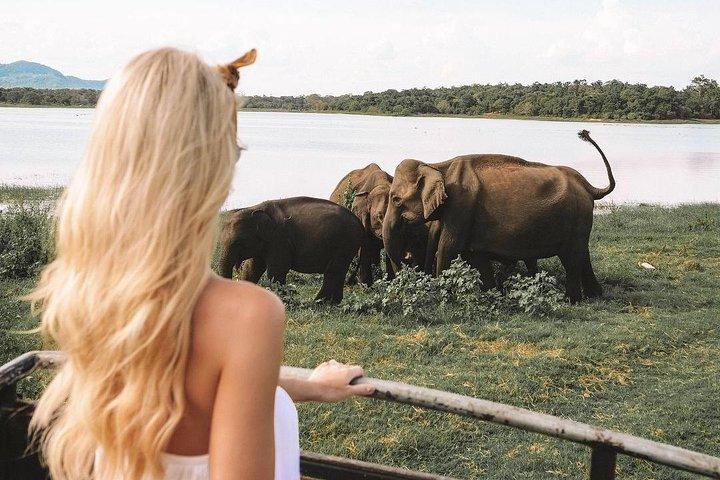 Day Trip to Wilpattu National Park from Colombo