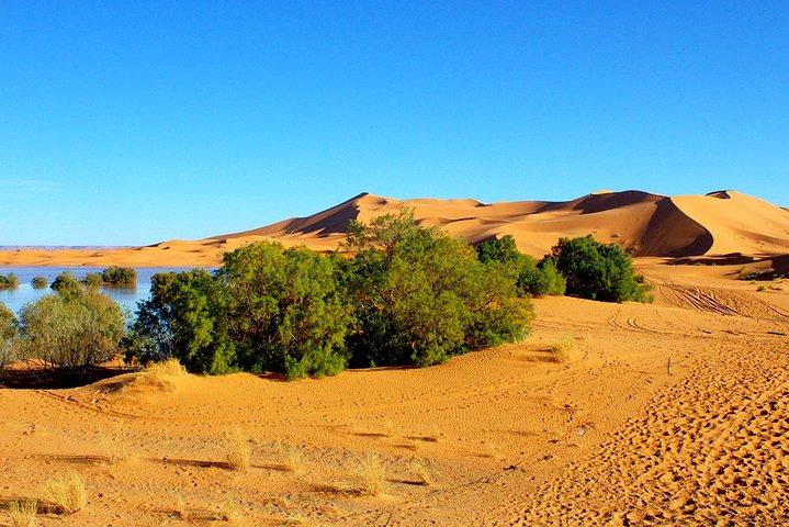 2 Days tour from Marrakech to Merzouga Sahara Desert
