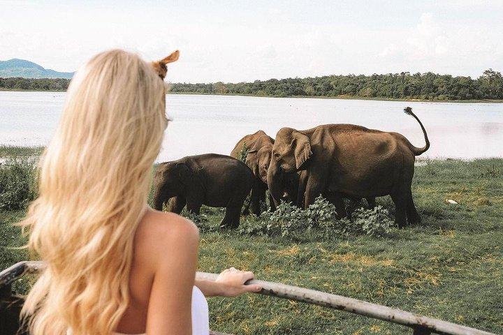 Highlights Of Sri Lanka | 7 Days
