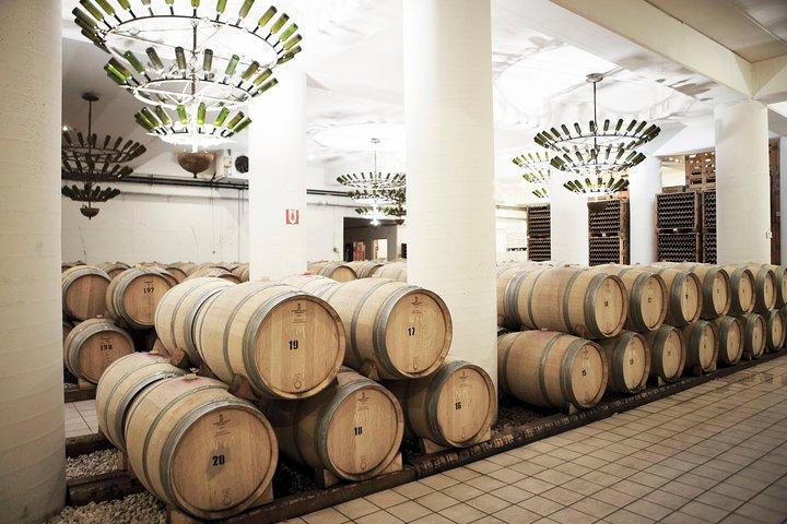 A world of wine-tasting in Nemea from Nafplio