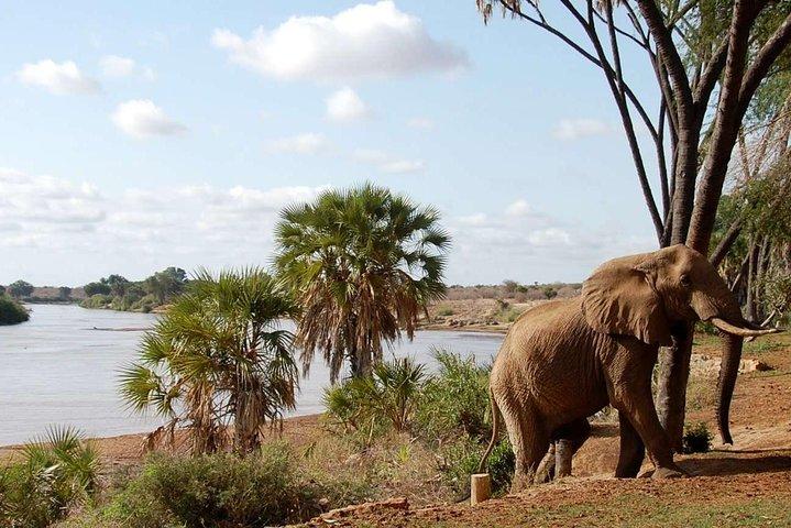 5 Days Big Five Safari Tour in Kenya