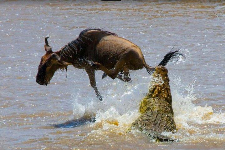 8 Days Kenya and Tanzania Budget Safari