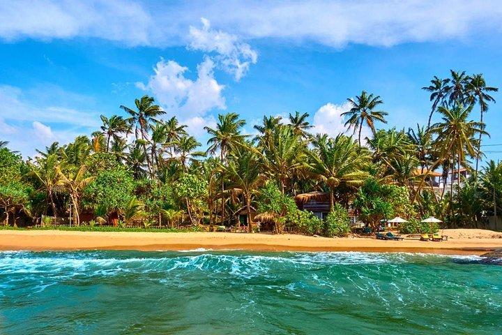 Bandaranayake International Airport(BIA) - Bentota Hotel Transfers
