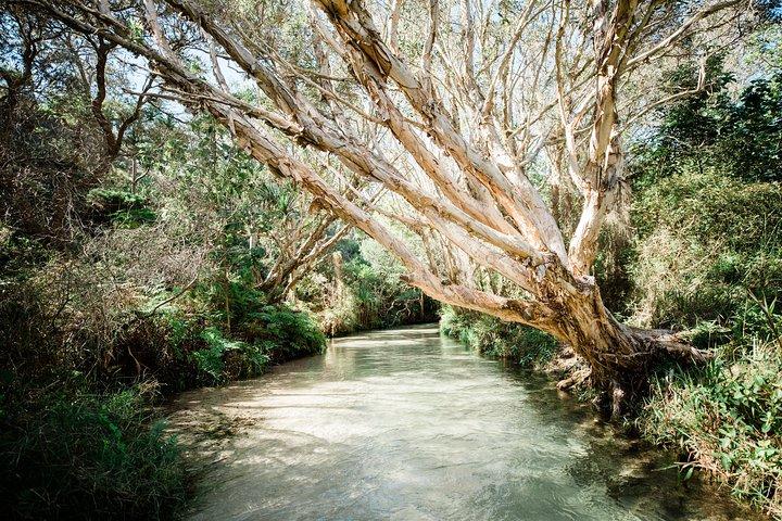 K'gari (Fraser Island) All Inclusive Day Tour