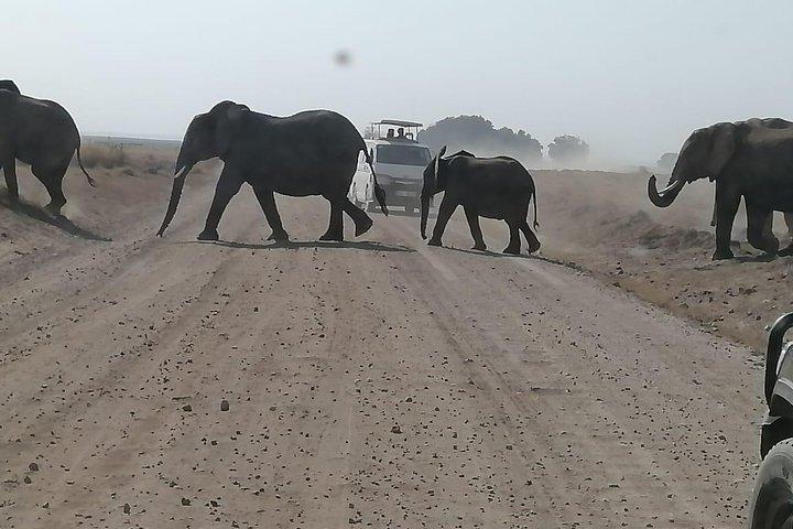 4 Days Masai Mara Budget Camping Safari Tours