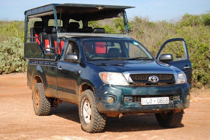 Private Half Day Safari Tour to Yala NP From Tangalle and Drop Back