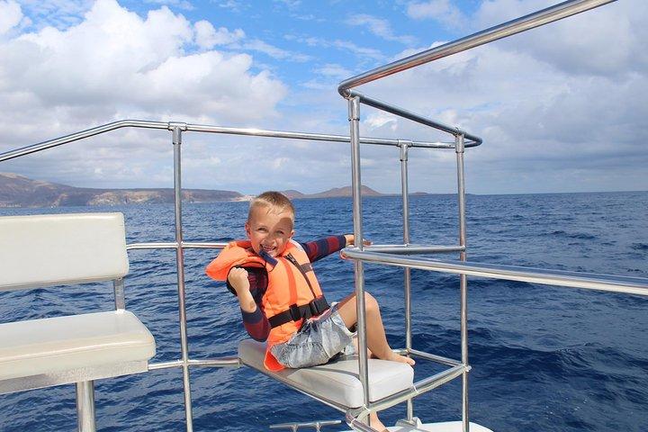 Tenerife Whale Watching Catamaran Cruise with Transfer and Buffet