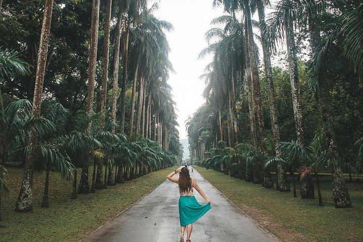 Discover Sri Lanka in eight days tour
