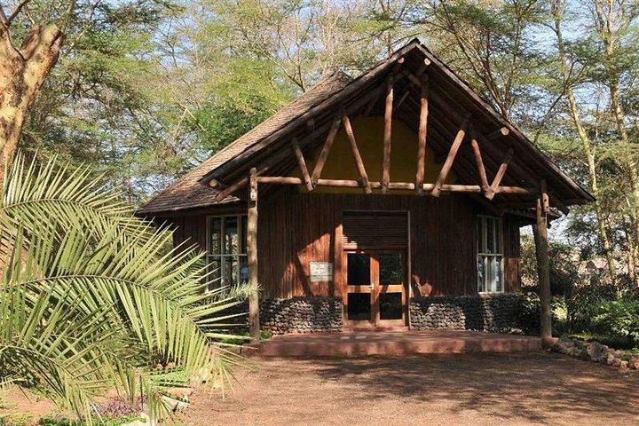 4 Days Amboseli, Tsavo, West and East Safari in Kenya