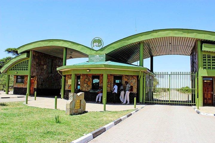 3 Days 2 Nights Amboseli Safari