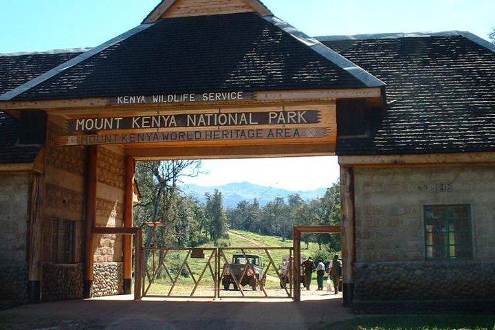 Day Tour To Mt. Kenya