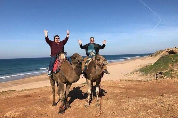 Tangier Private Day Trip from Casablanca by High Speed Train