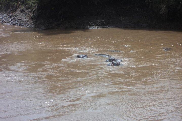 3-Day Safari Trip to Masai Mara National Reserve from Nairobi