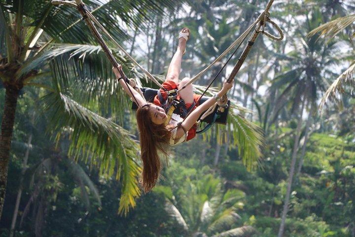 Bali Waterfalls Tours
