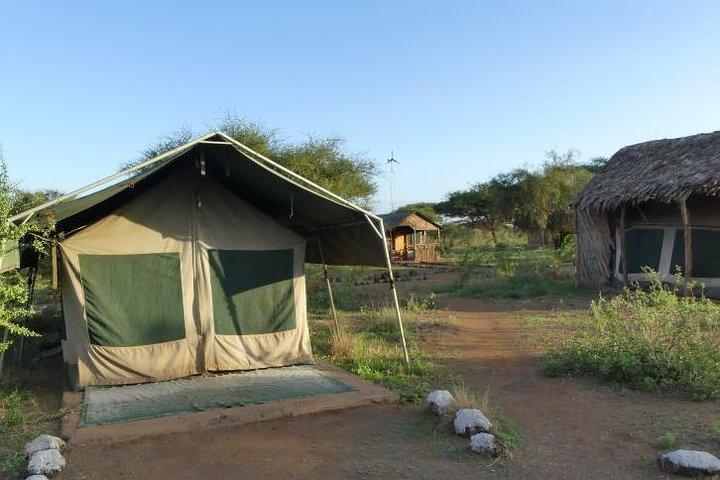 6 Days Best of Maasai Mara, Lake Nakuru and Amboseli Budget Safari