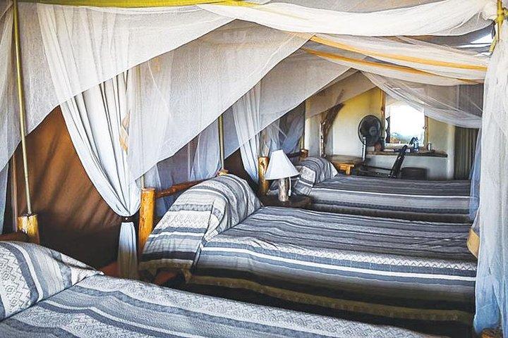 7 Days Kenya Budget Safari