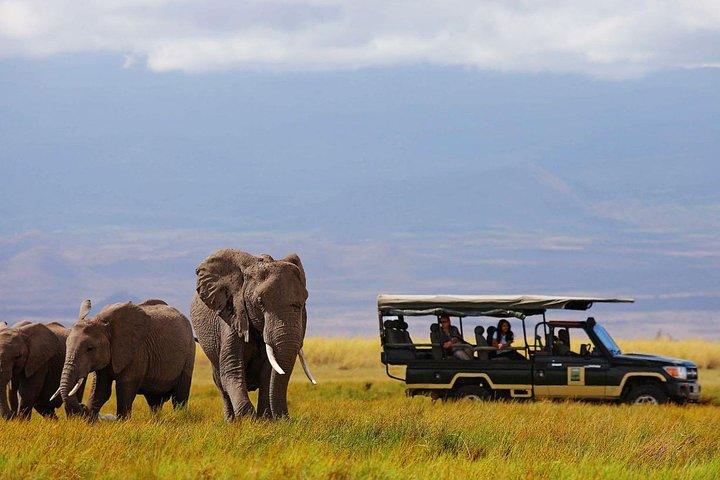 14-Days Kenya and Tanzania Camping Safari from Nairobi