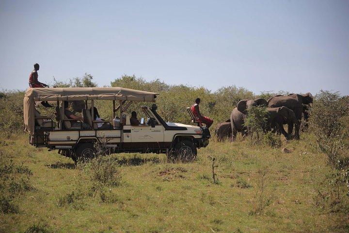 14-Days Kenya and Tanzania Camping Safari from Nairobi
