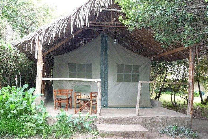 2 Days Maasai Mara Safari Holiday, Kenya