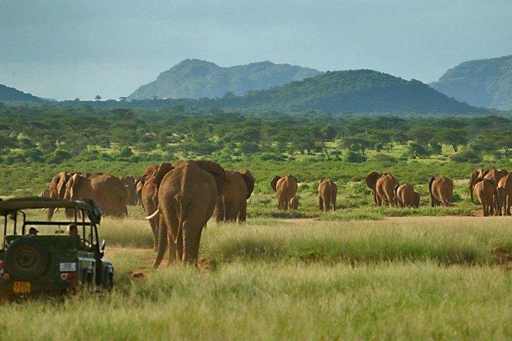 Private 3 Days Samburu National Park Safari All Inclusive