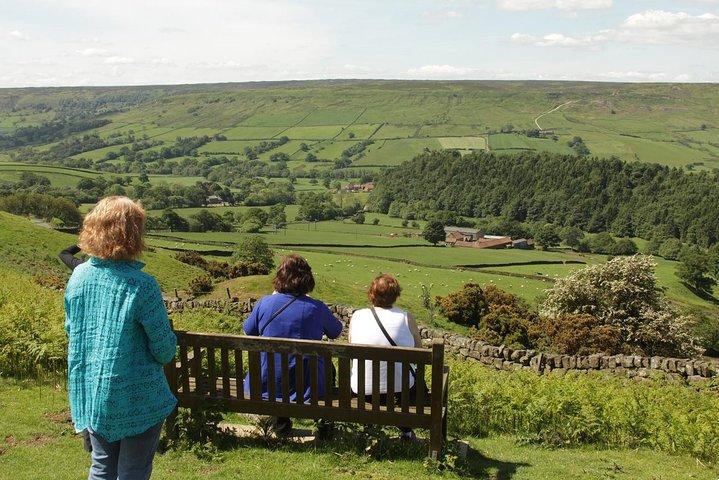 Full-Day Whitby and The North York Moors Private Tour from York