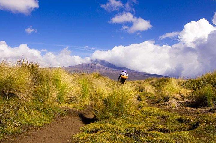 4 Days Trekking in Mount Kenya