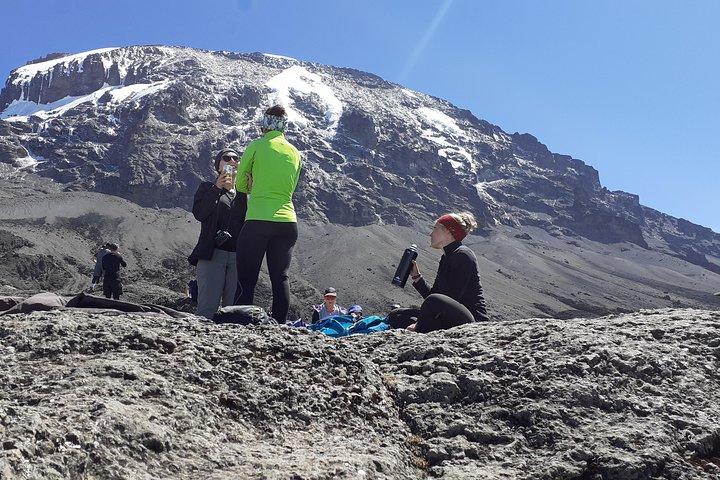 climb the Kilimanjaro via Marangu Route