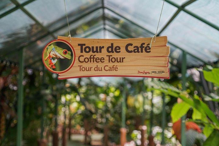 Coffee and Chocolate Tour in La Fortuna