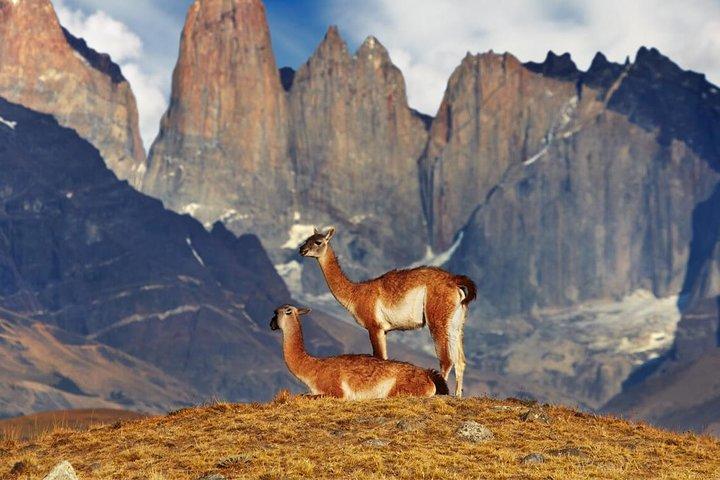 Torres del Paine Full Day Tour departing from El Calafate