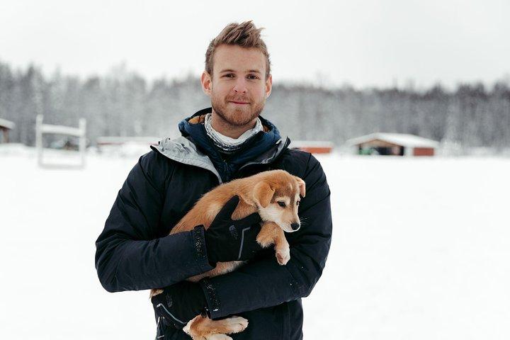 Mush Your Own Sled Dog Team (Winter Tour) in Talkeetna, Alaska