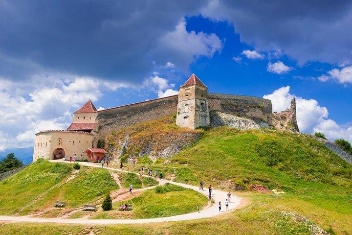 Bear Sanctuary & Rasnov Fortress - Private day tour from Bucharest