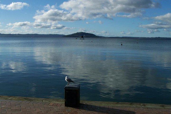 6.5 hour Small-Group Rotorua Naturally Shore Excursion - Tauranga