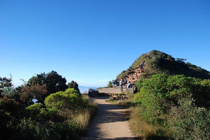 Kandy, Nuwara Eliya & Ella (3 Days) tour from Colombo/Negombo