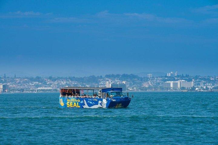 San Diego Shore Excursion: San Diego Seal Tour